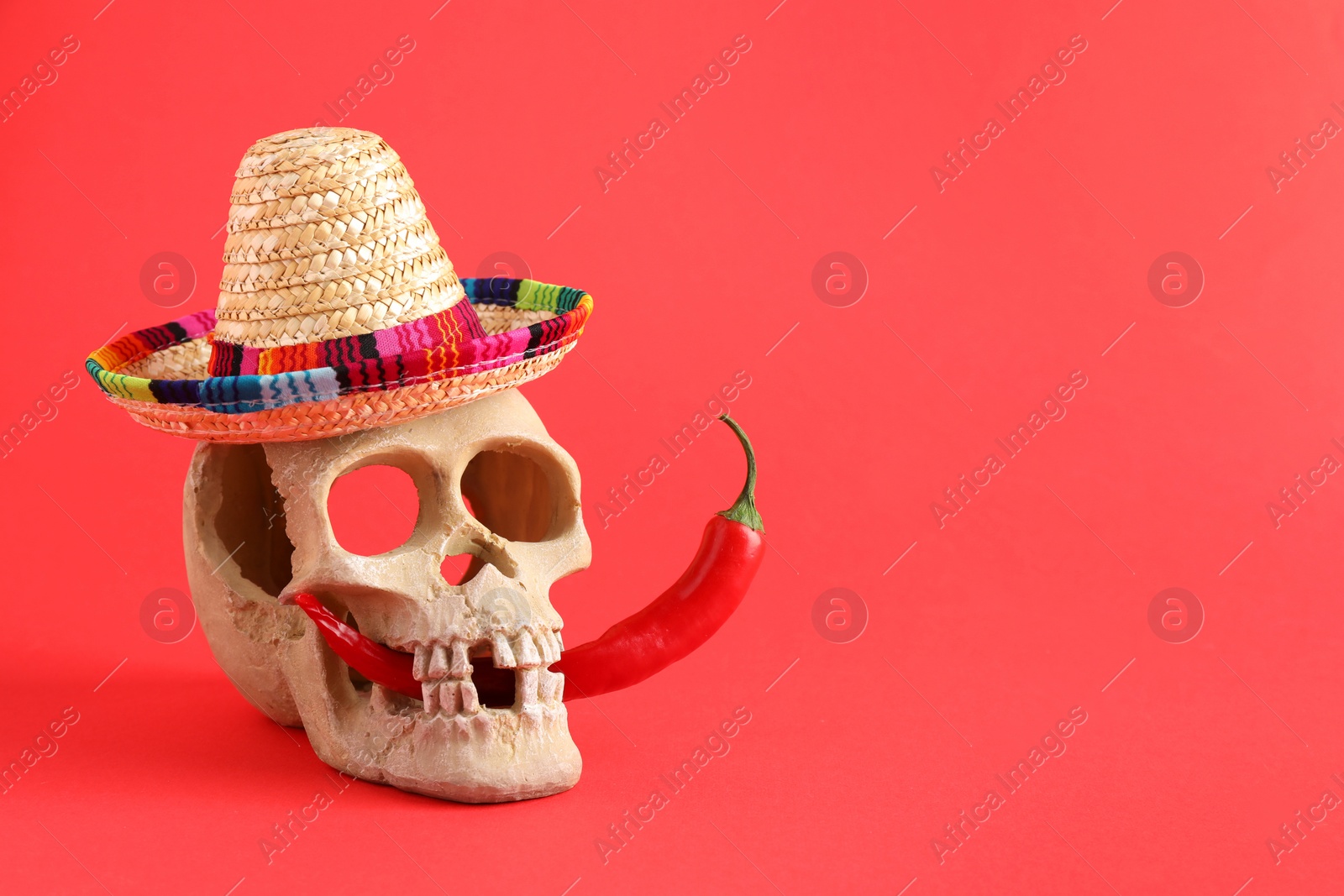 Photo of Human scull with Mexican sombrero hat and hot chili pepper on red background. Space for text