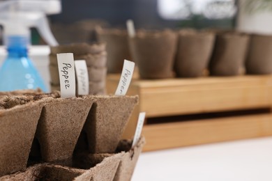 Many peat pots with cards of vegetable names, closeup and space for text. Growing seeds