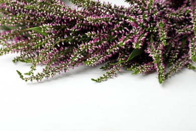 Beautiful autumnal wreath with heather flowers on white background, closeup