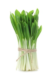 Photo of Bunch of wild garlic or ramson isolated on white