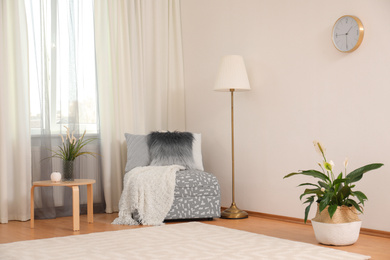 Window with stylish curtains in living room interior