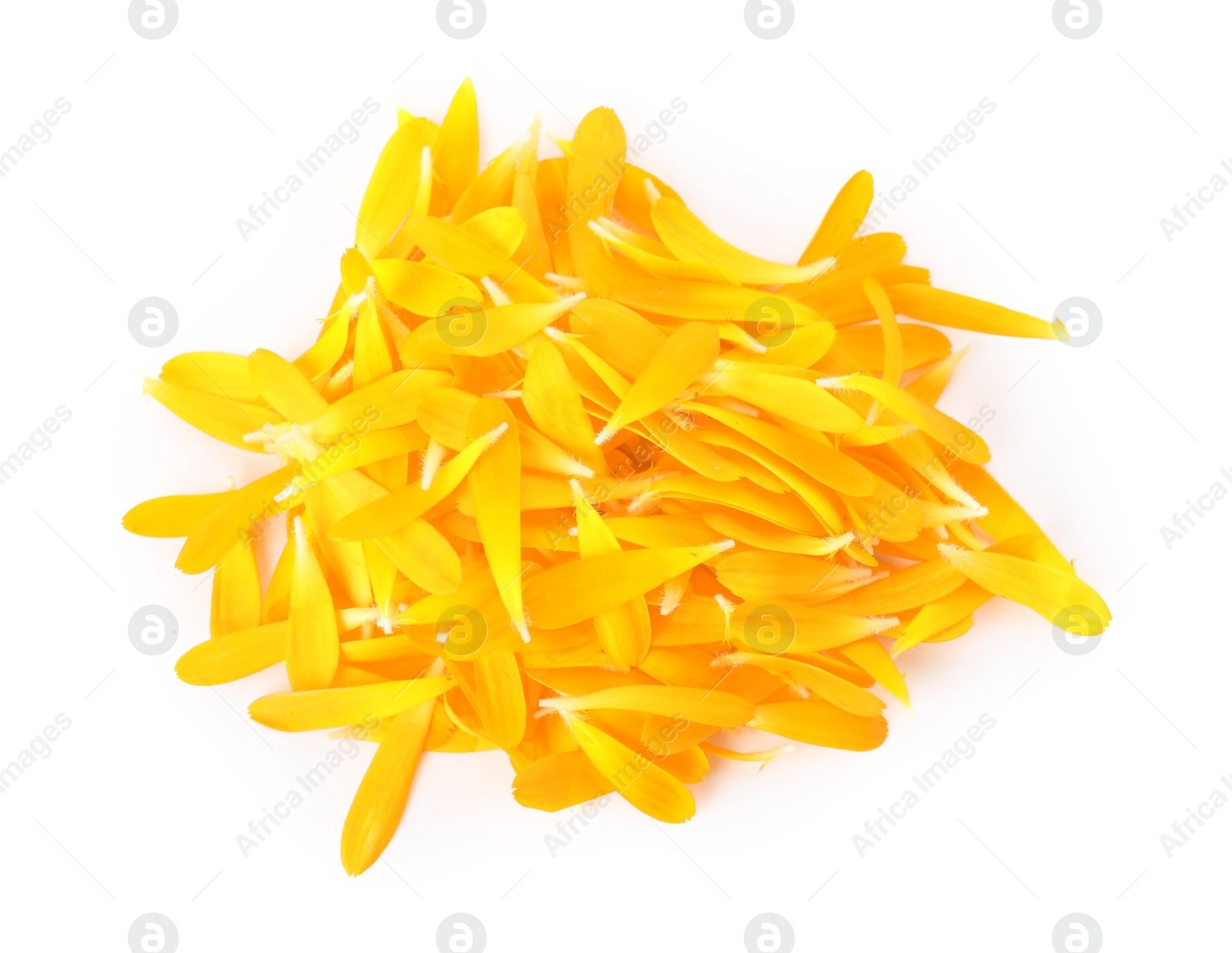 Photo of Pile of beautiful calendula petals on white background, top view