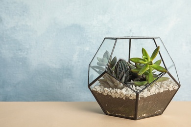 Glass florarium with different succulents on color background, space for text