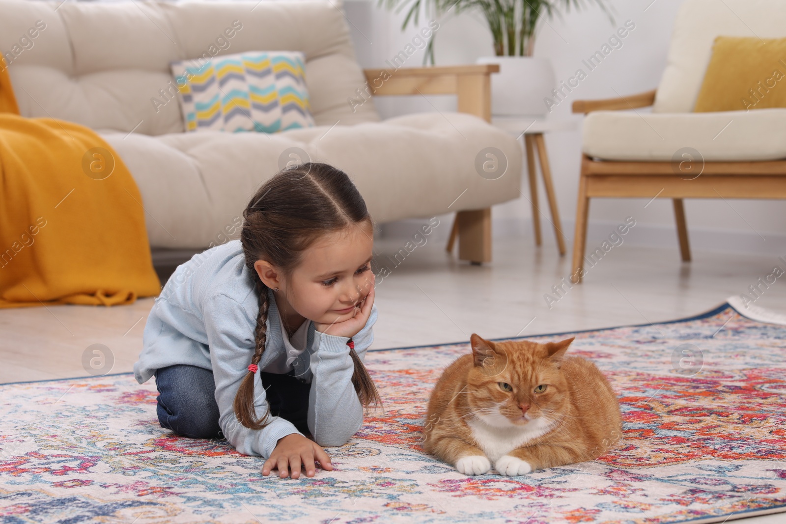 Photo of Little girl and cute ginger cat on carpet at home