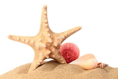 Beautiful sea star (starfish) and seashells in sand isolated on white