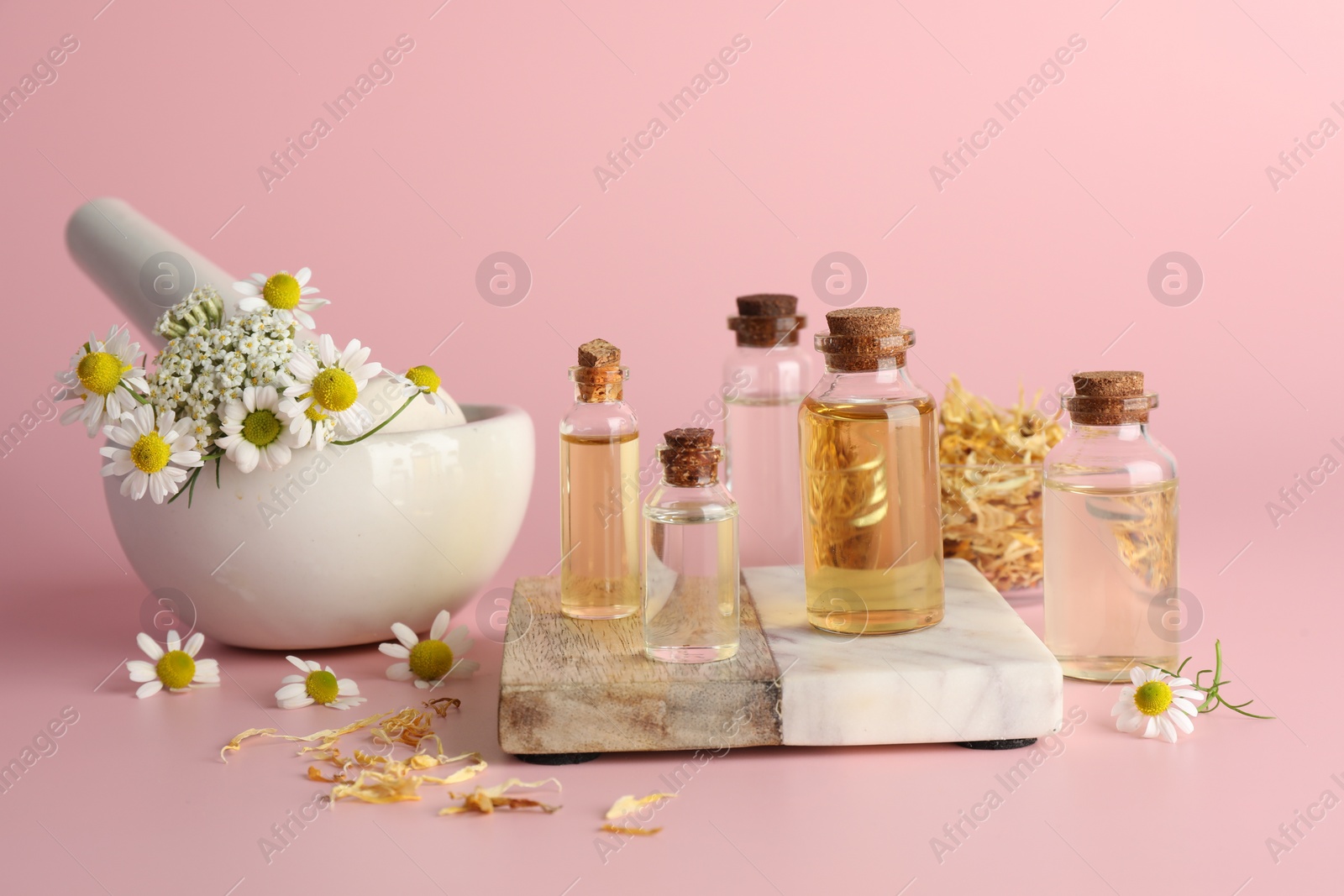 Photo of Aromatherapy. Different essential oils and flowers on pink background