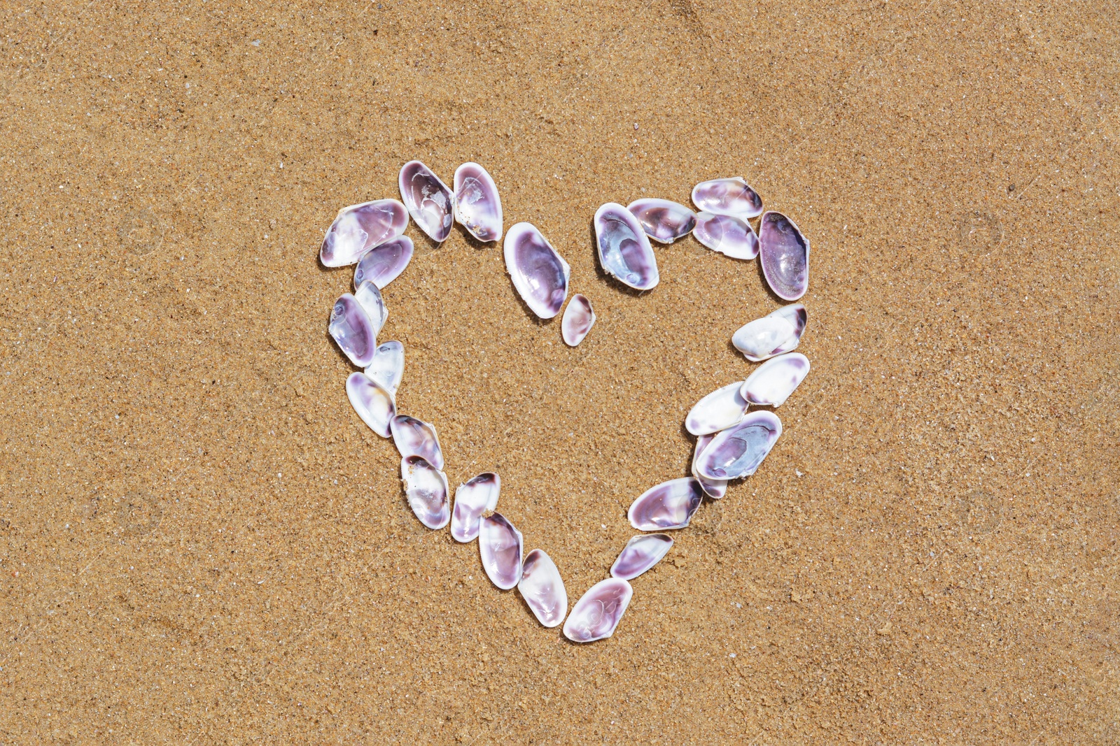 Photo of Heart made with beautiful sea shells on wet sand, flat lay