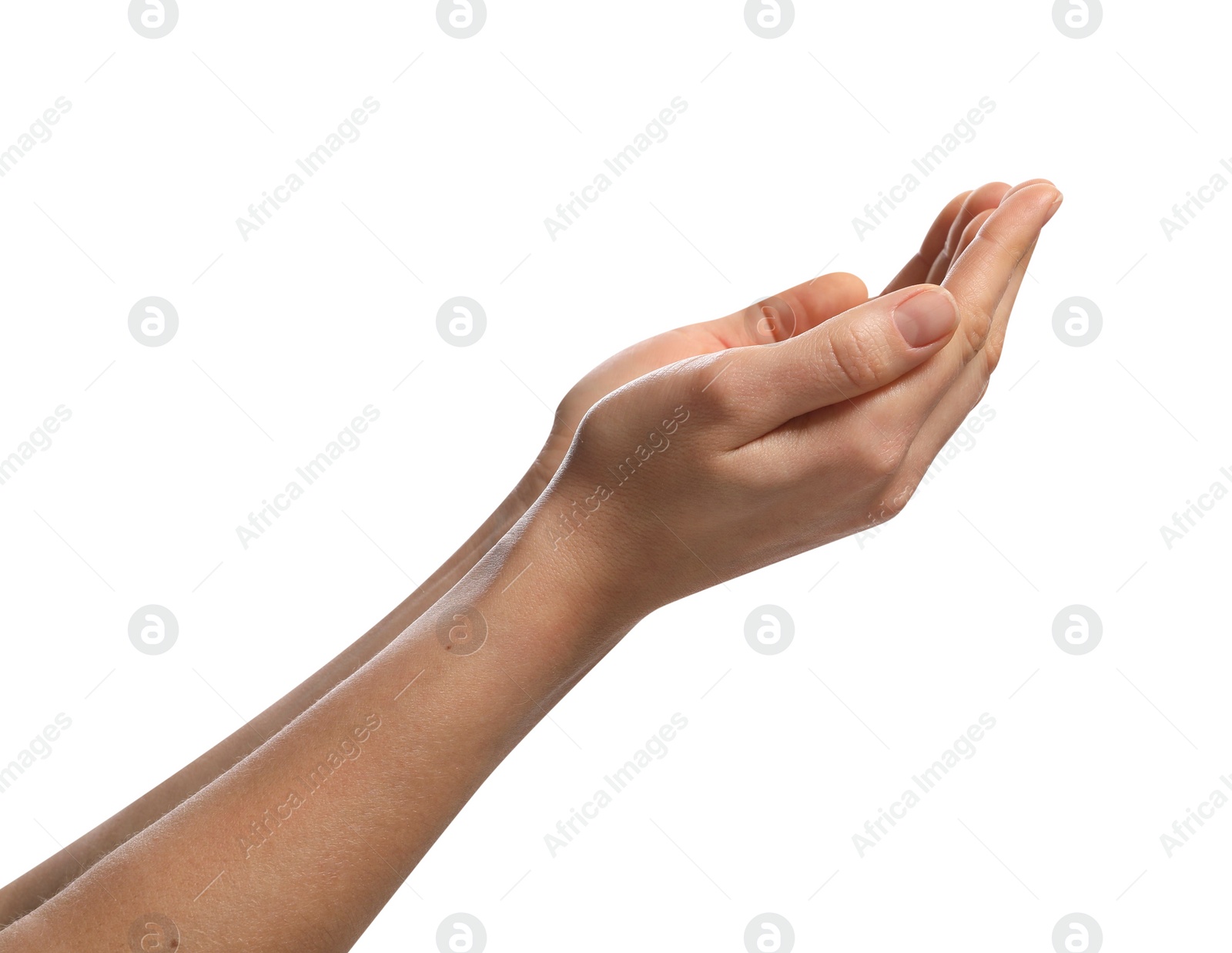 Photo of Religion. Woman with open palms praying on white background, closeup