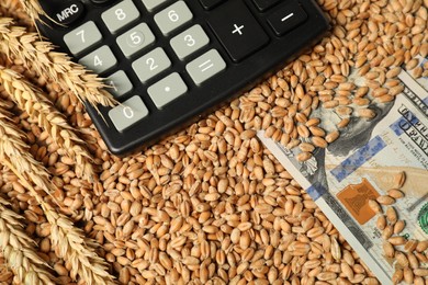 Photo of Dollar banknotes, calculator and wheat ears on grains, closeup. Agricultural business