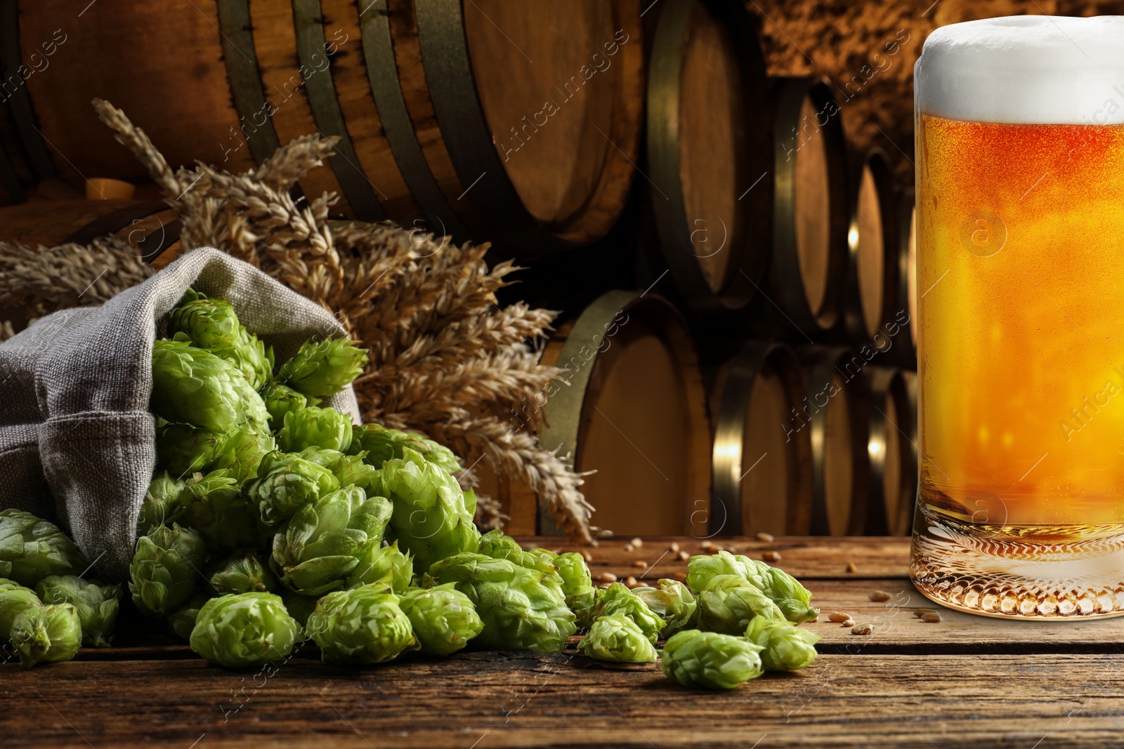 Image of Glass of tasty light beer, fresh hops and wheat spikes on wooden table in cellar