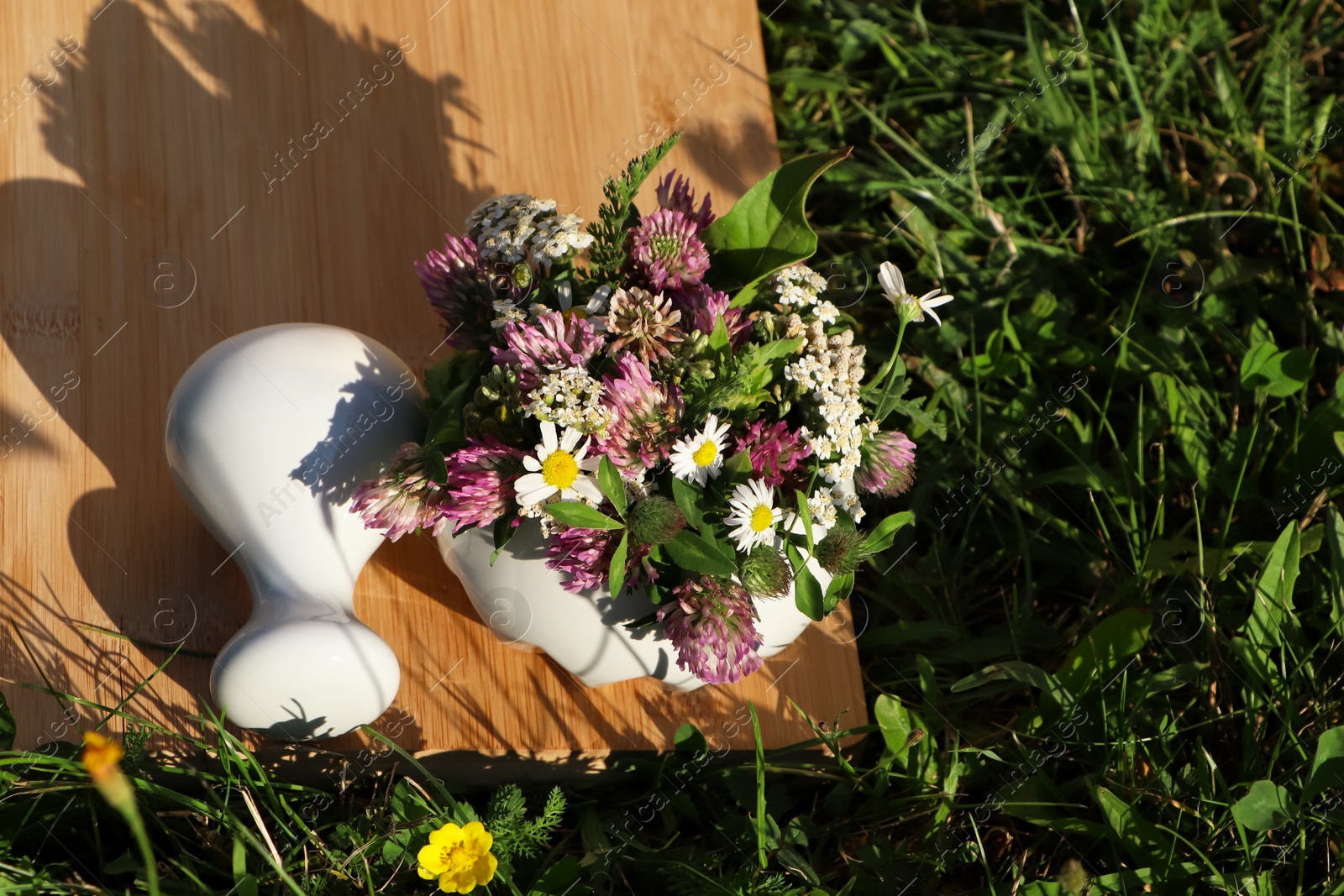 Photo of Ceramic mortar with pestle, different wildflowers and herbs on green grass outdoors