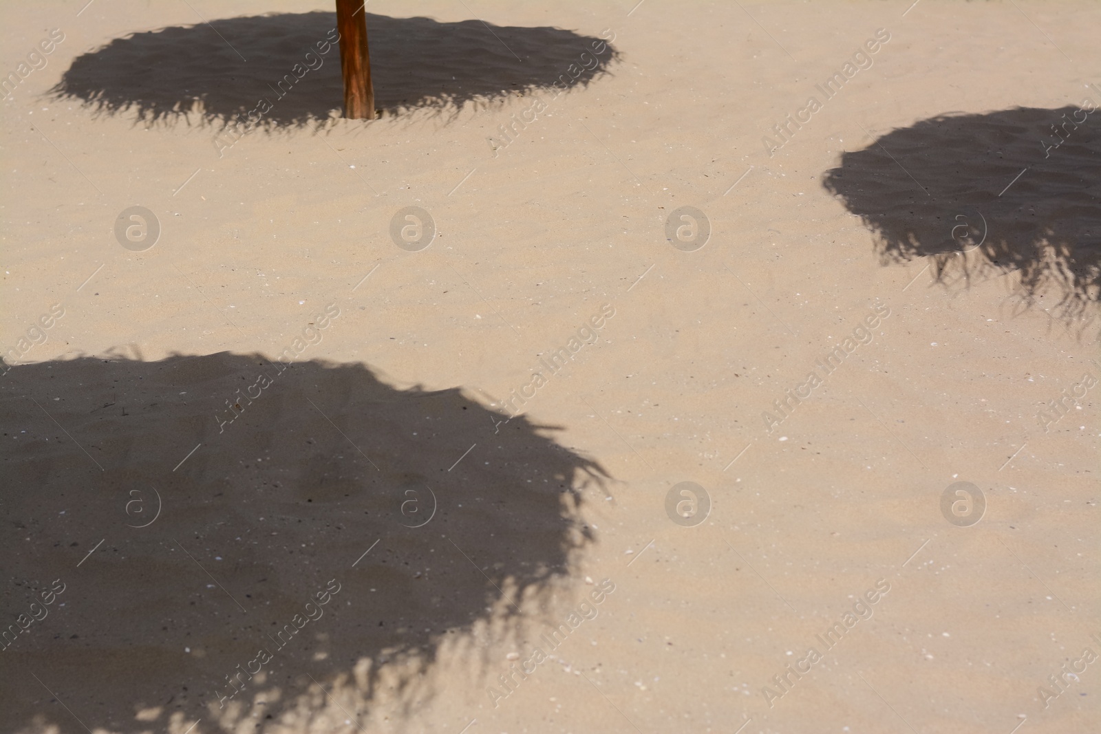 Photo of Shadows from umbrellas on sandy beach. Tropical resort