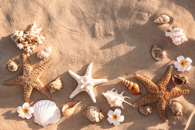 Flat lay composition with starfishes and seashells on sandy beach. Space for text