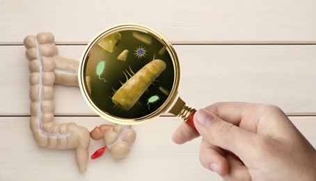 Image of Microorganisms research. Woman with magnifying glass and anatomical model of intestine on white wooden background, top view