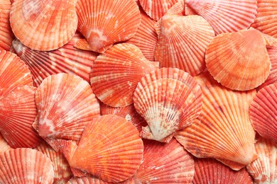 Photo of Top view of beautiful color seashells as background