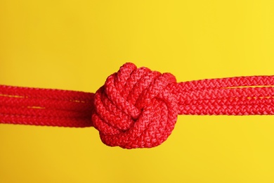 Photo of Red rope with knot on color background