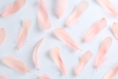 Photo of Beautiful light pink feathers on white background, flat lay
