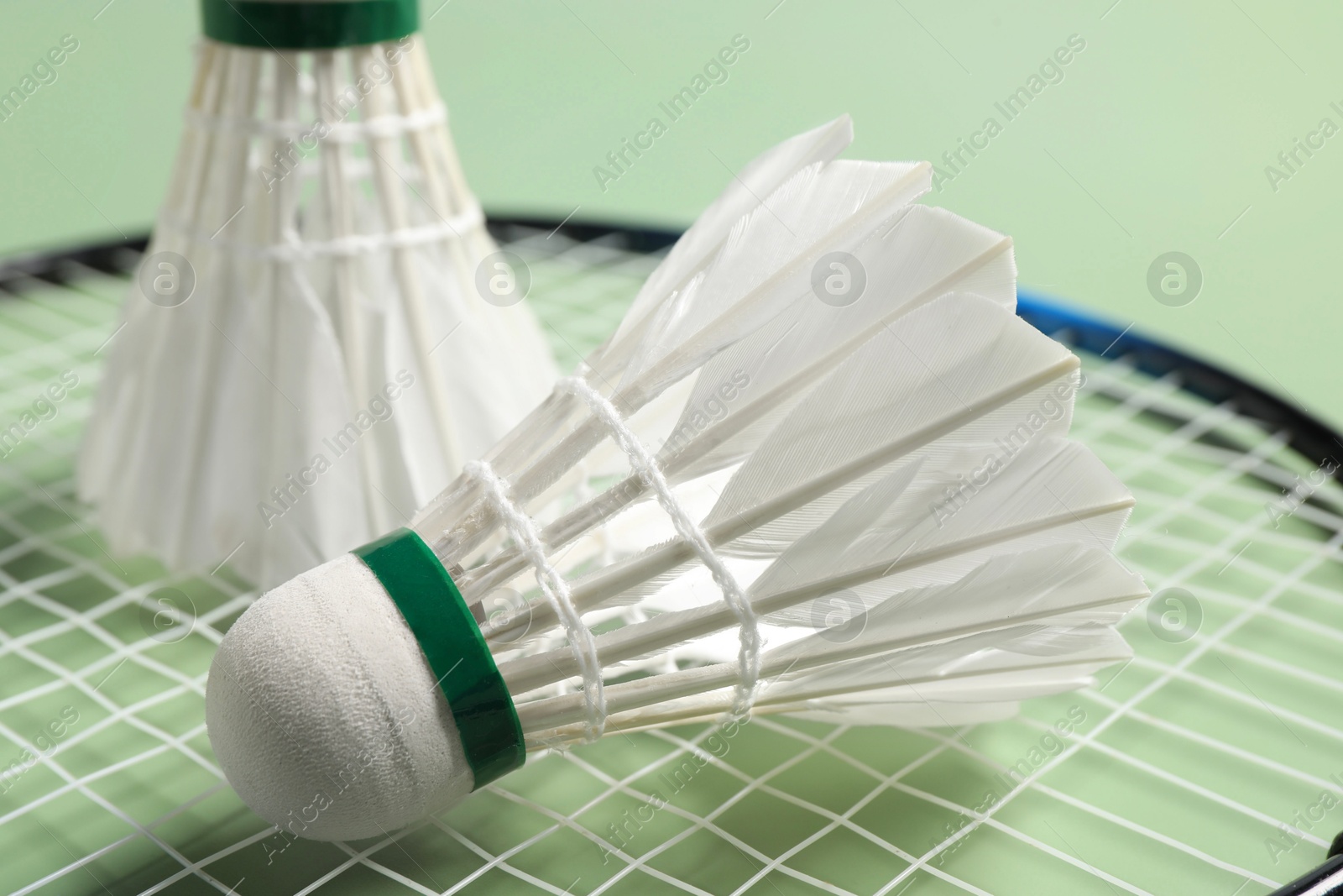 Photo of Feather badminton shuttlecocks and racket on green background, closeup