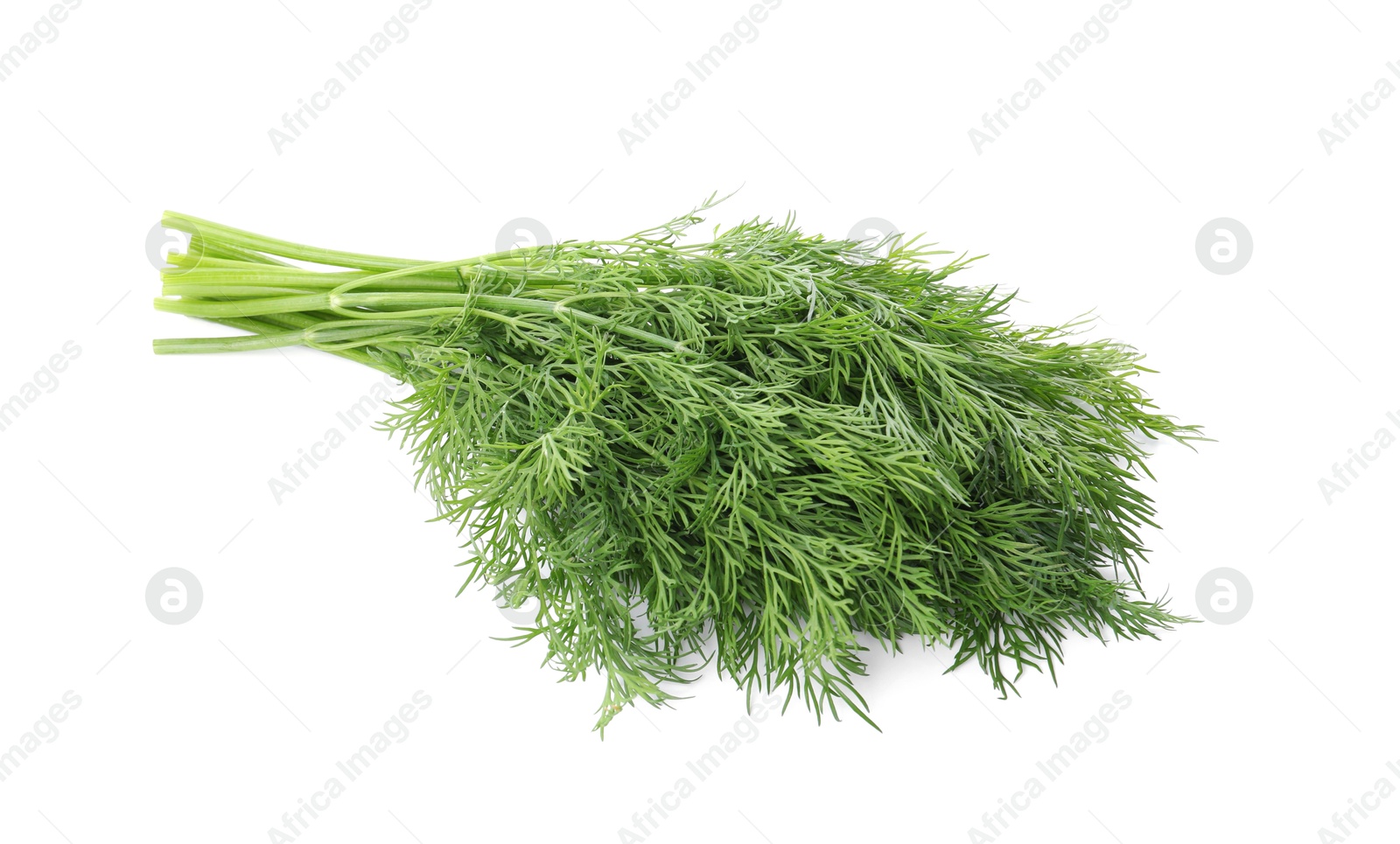 Photo of Fresh green dill branches isolated on white