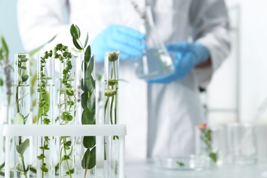 Photo of Test tubes with different plants in laboratory, closeup