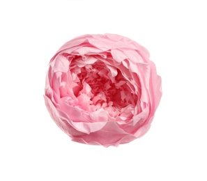 Photo of Beautiful pink peony flower isolated on white, top view