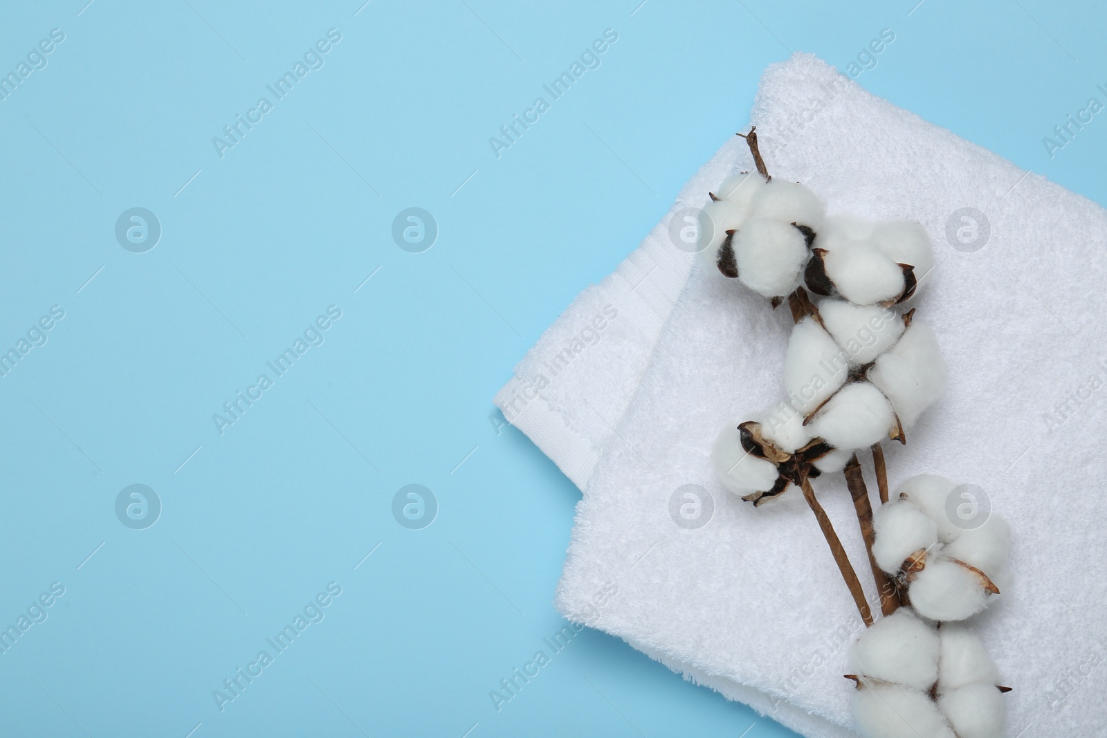Photo of White terry towel and cotton flowers on light blue background, top view. Space for text