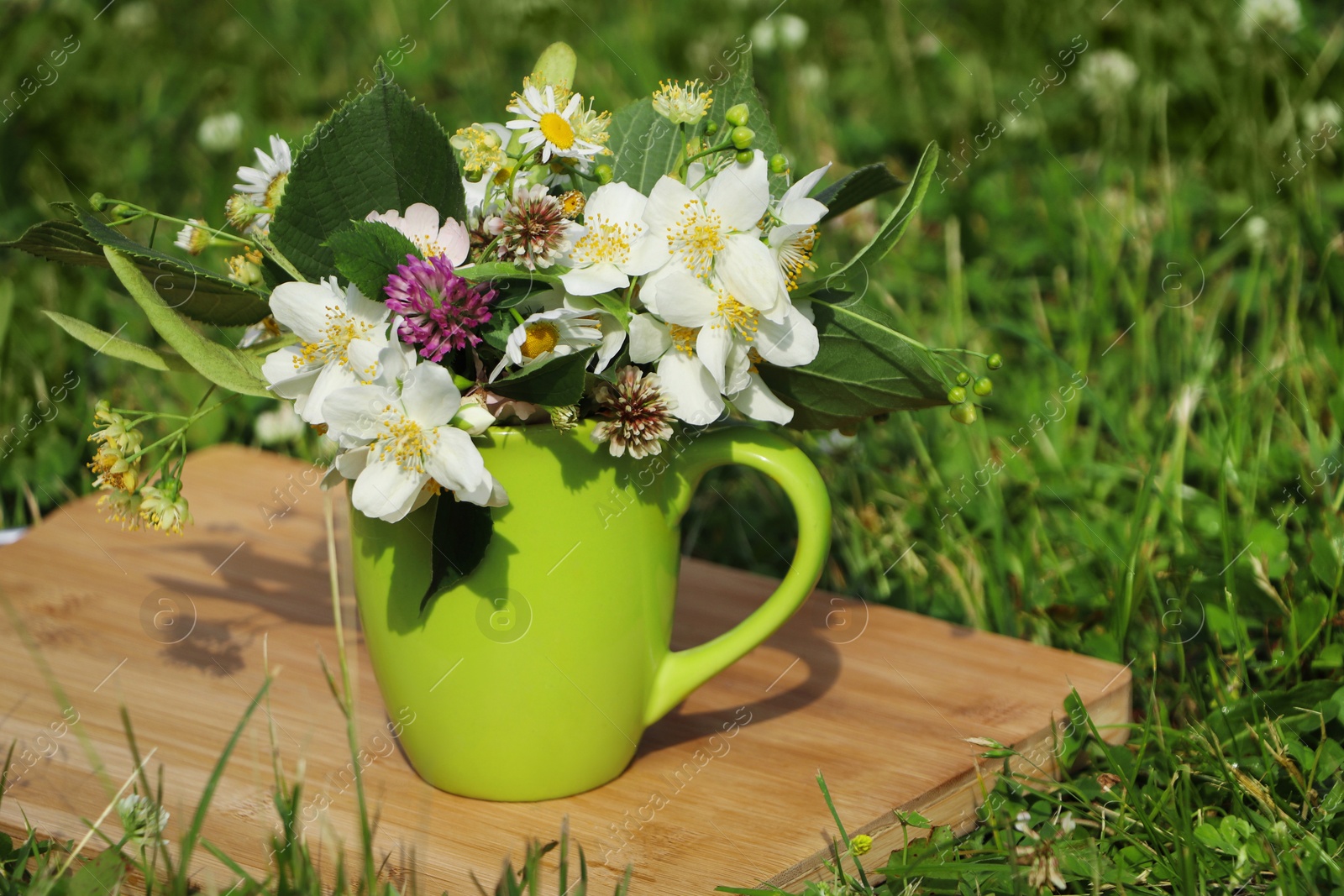 Photo of Green cup with different wildflowers and herbs on wooden board in meadow. Space for text