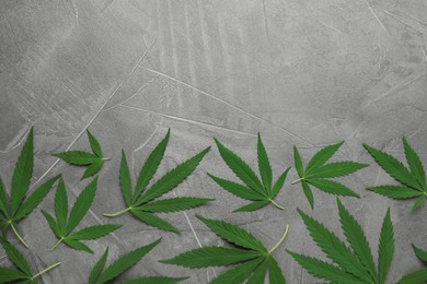 Photo of Lush green hemp leaves on grey stone background, flat lay. Space for text