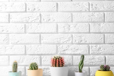 Different potted cacti near brick wall, space for text. Interior decor