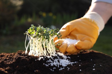 Man fertilizing soil with growing young microgreens outdoors, selective focus