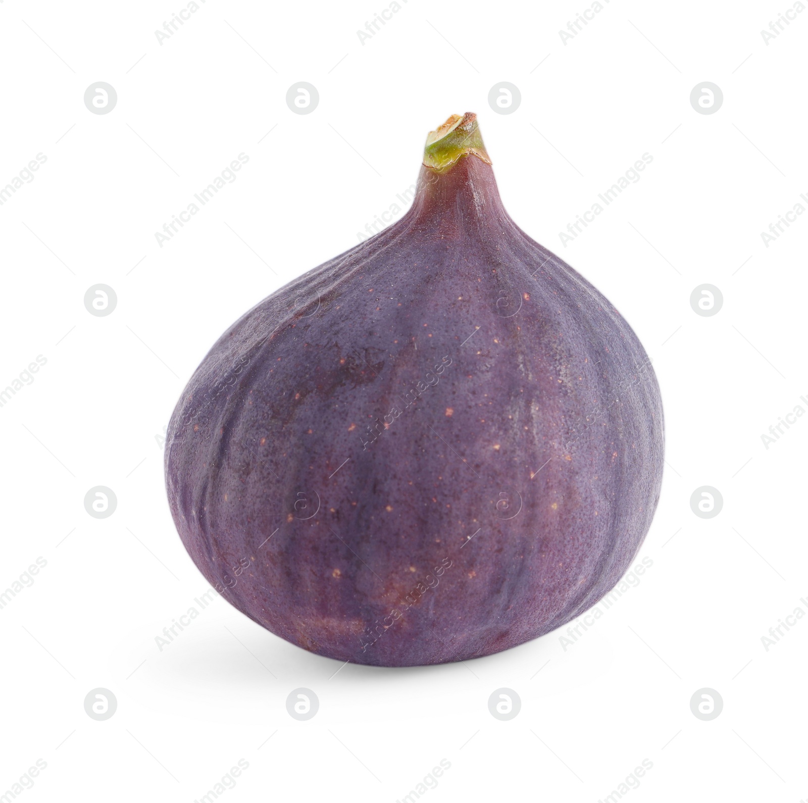 Photo of Whole ripe fresh fig isolated on white