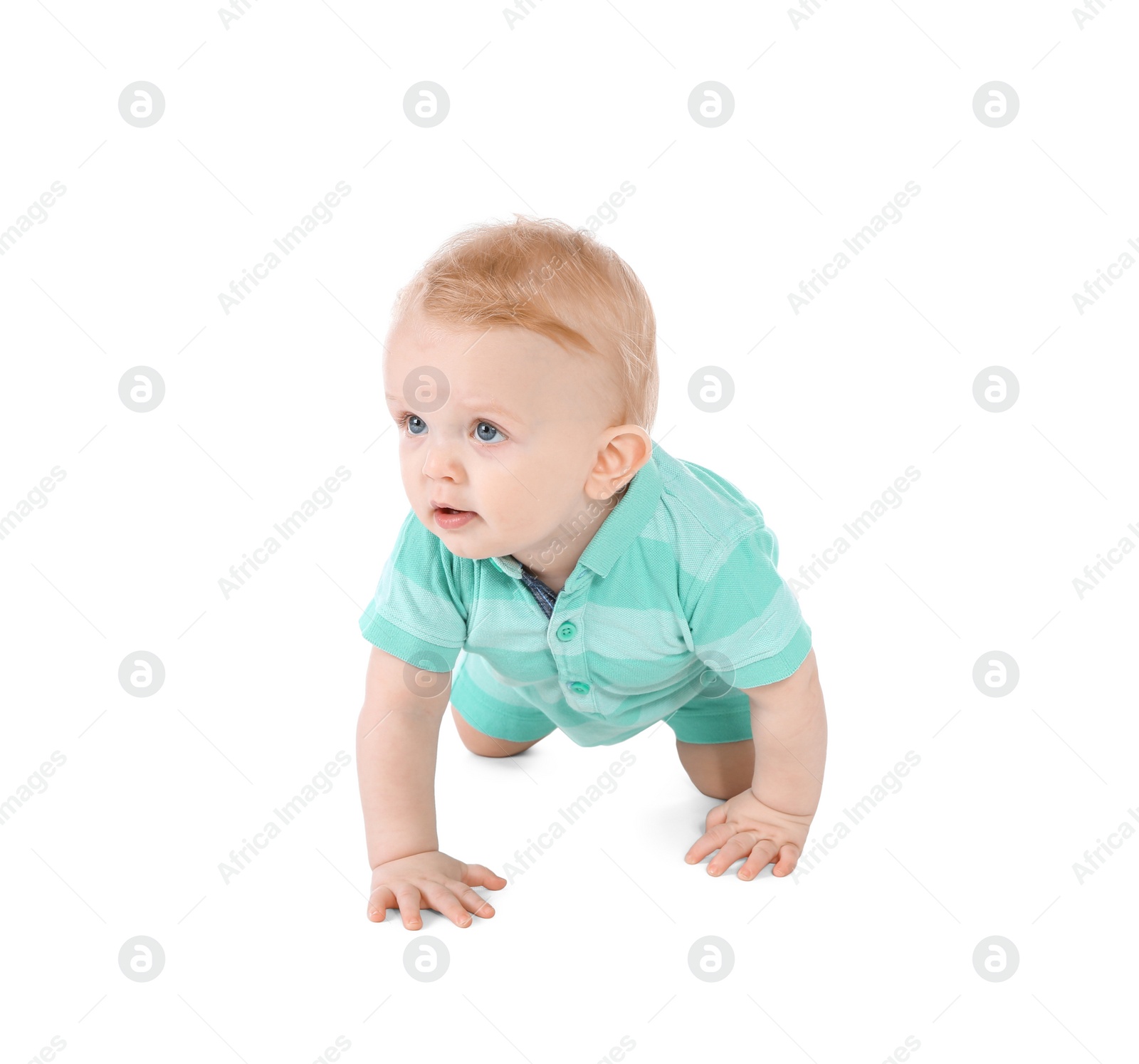 Photo of Cute little baby crawling on white background