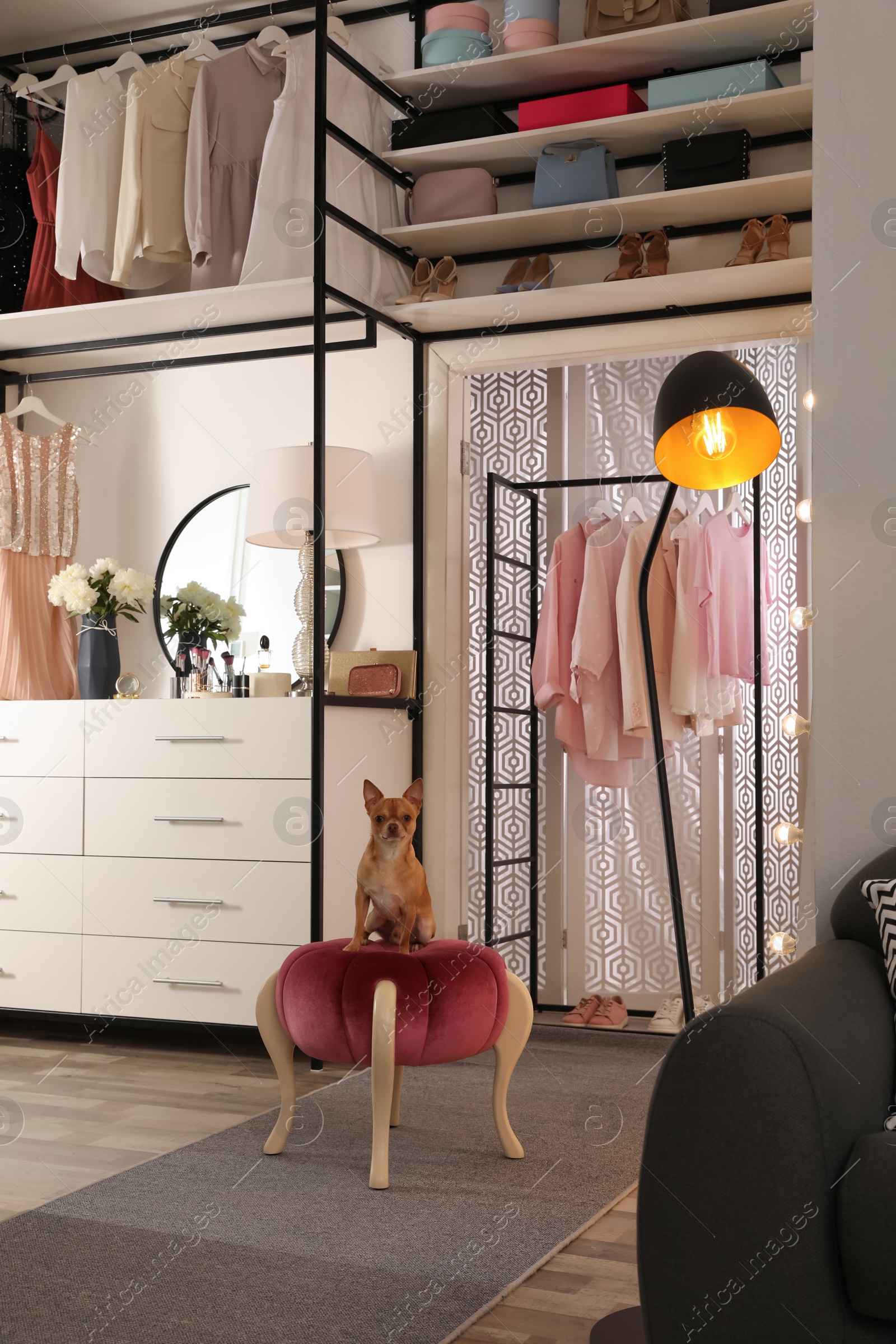 Photo of Modern wardrobe room interior with stylish furniture