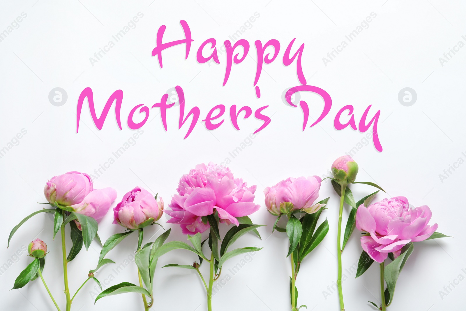 Image of Happy Mother's Day. Beautiful peonies on white background, flat lay 