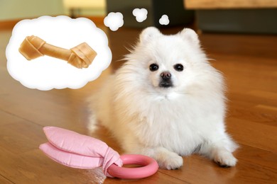 Image of Dreaming about treat. Cute Pomeranian dog with toy indoors. Thought cloud with knotted bone