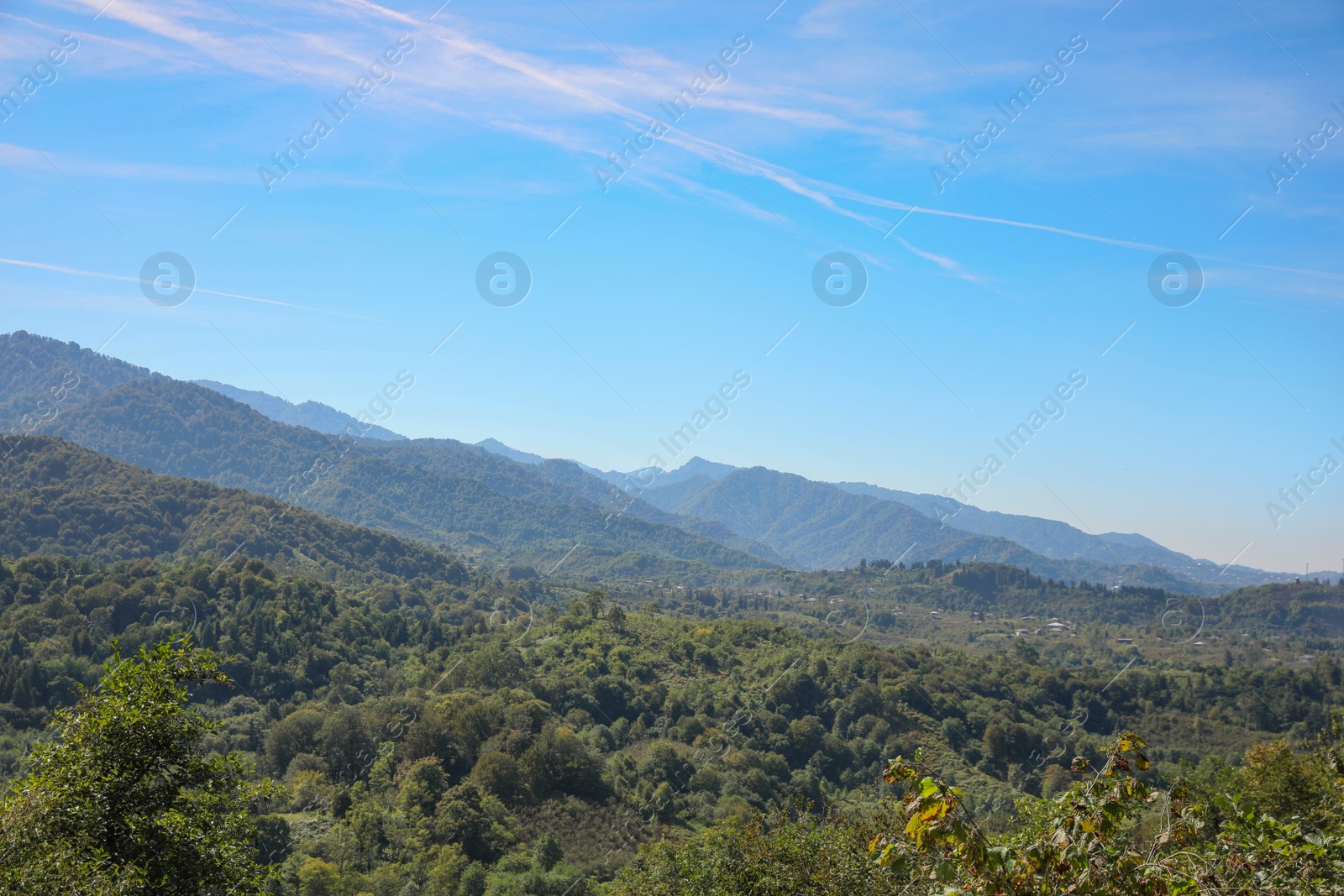 Photo of Beautiful mountain landscape with forest on sunny day
