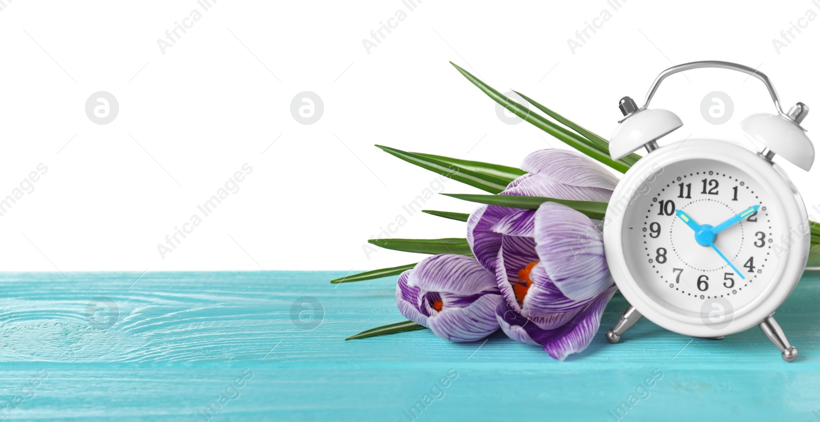 Photo of Alarm clock and spring flowers on wooden table against white background, space for text. Time change