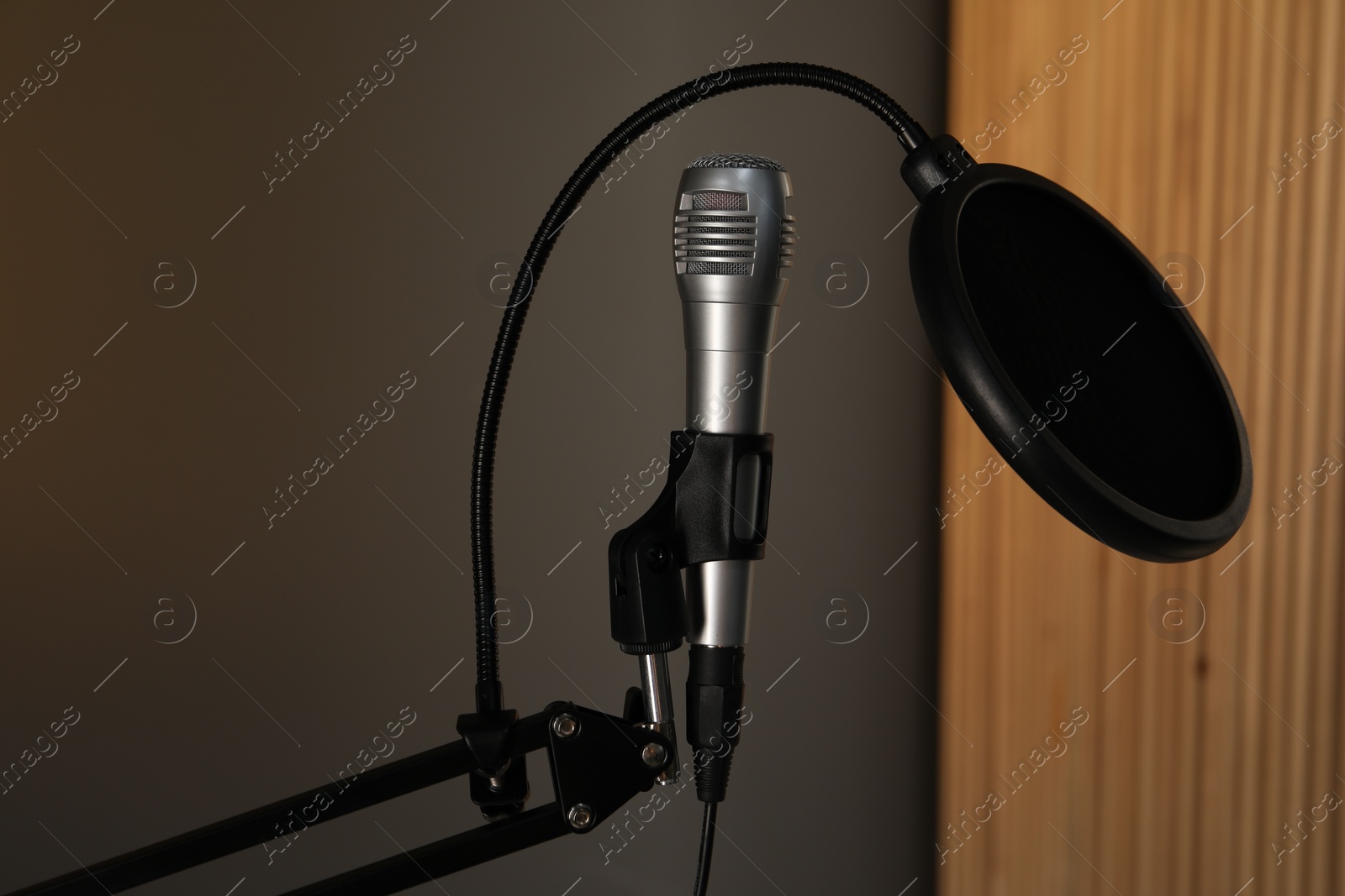 Photo of Stand with microphone and pop filter indoors. Sound recording and reinforcement