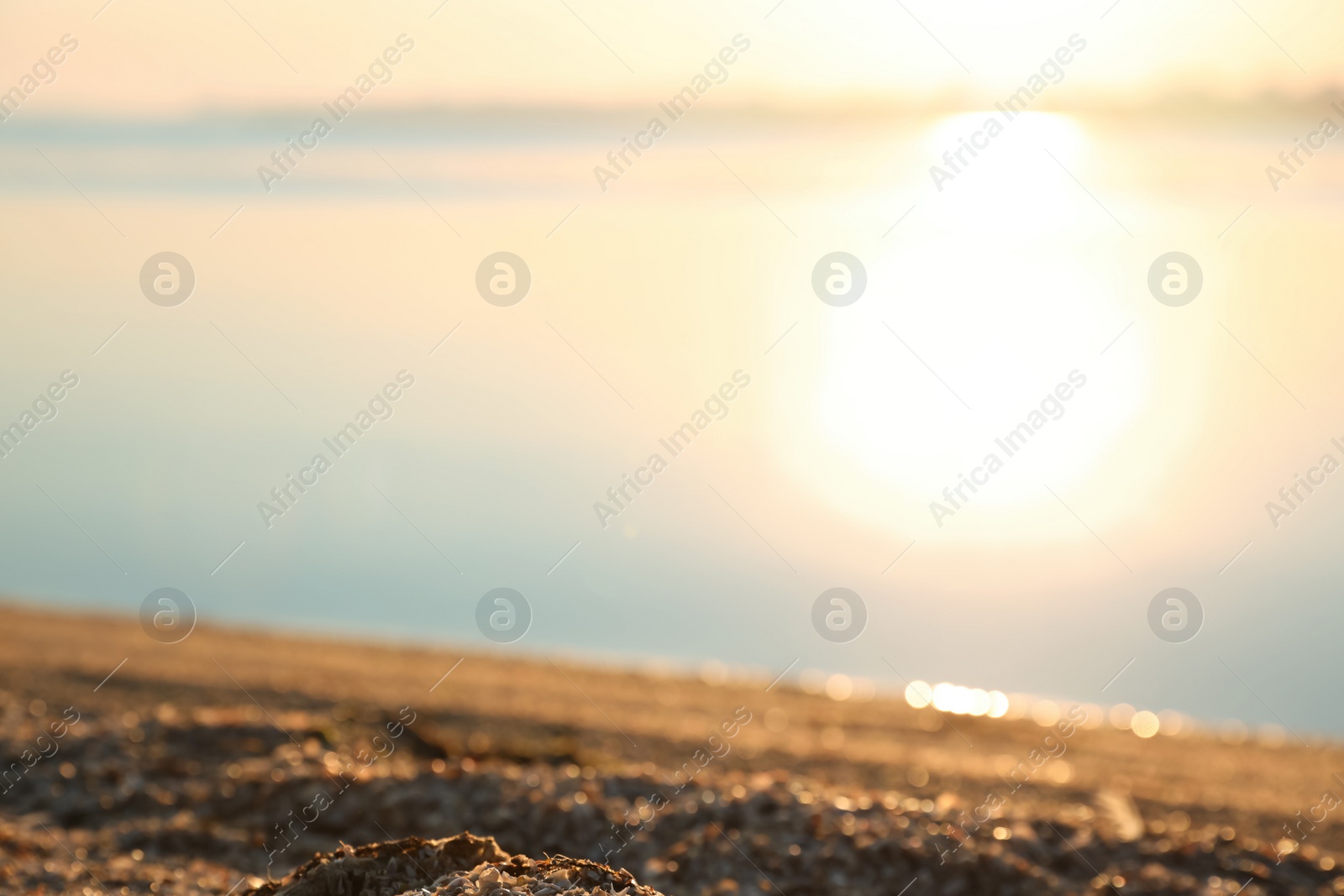 Photo of Beautiful view of riverside at sunrise. Early morning landscape