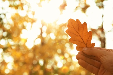 Photo of Woman holding autumn leaf in park. Space for text