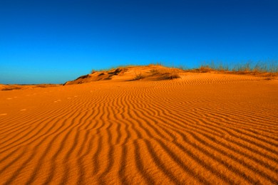 Picturesque view of desert with orange sand on sunny day