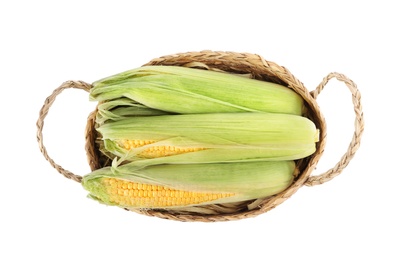 Photo of Ripe raw corn cobs in wicker basket isolated on white, top view