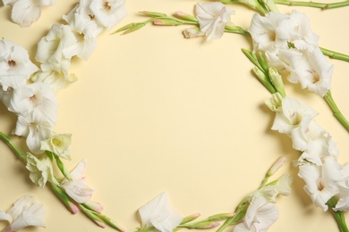 Photo of Flat lay composition with beautiful gladiolus flowers on color background