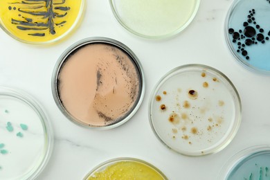 Petri dishes with different bacteria colonies on white marble table, flat lay