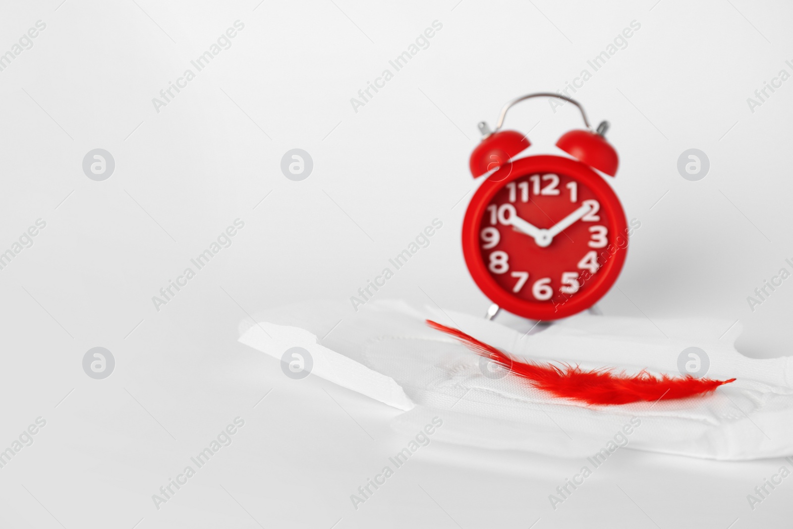 Photo of Cotton pad with feather near alarm clock on white background, space for text. Gynecological care