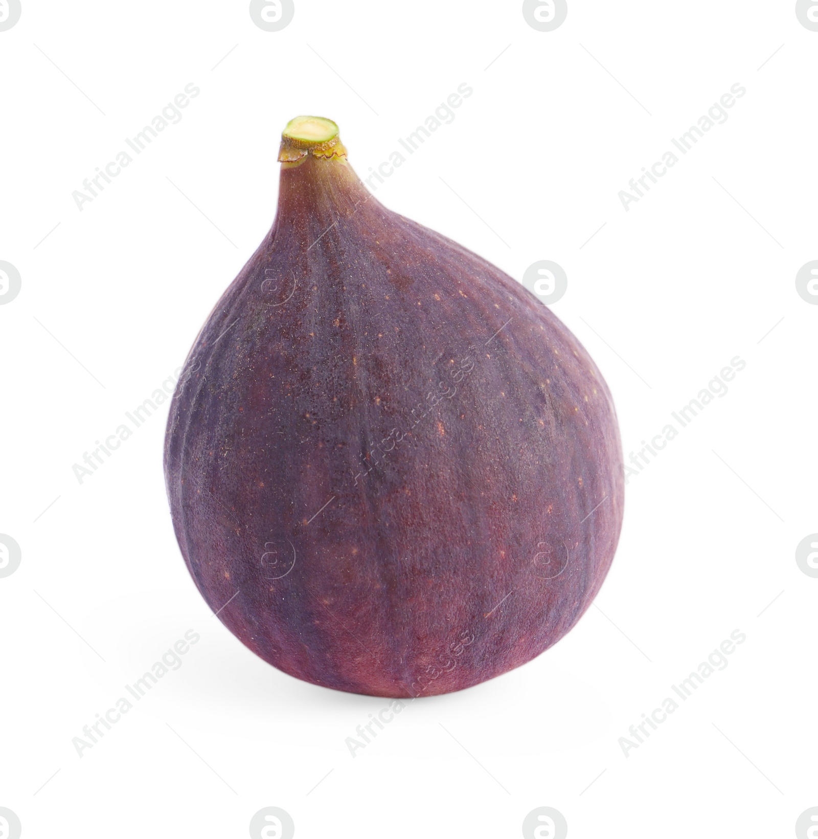 Photo of Whole ripe fresh fig isolated on white