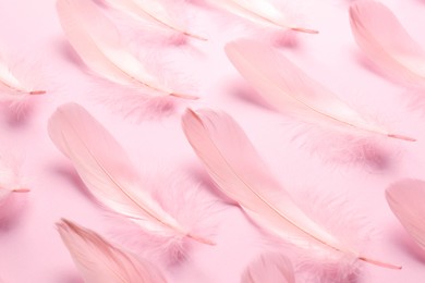Photo of Beautiful feathers on light pink background, closeup