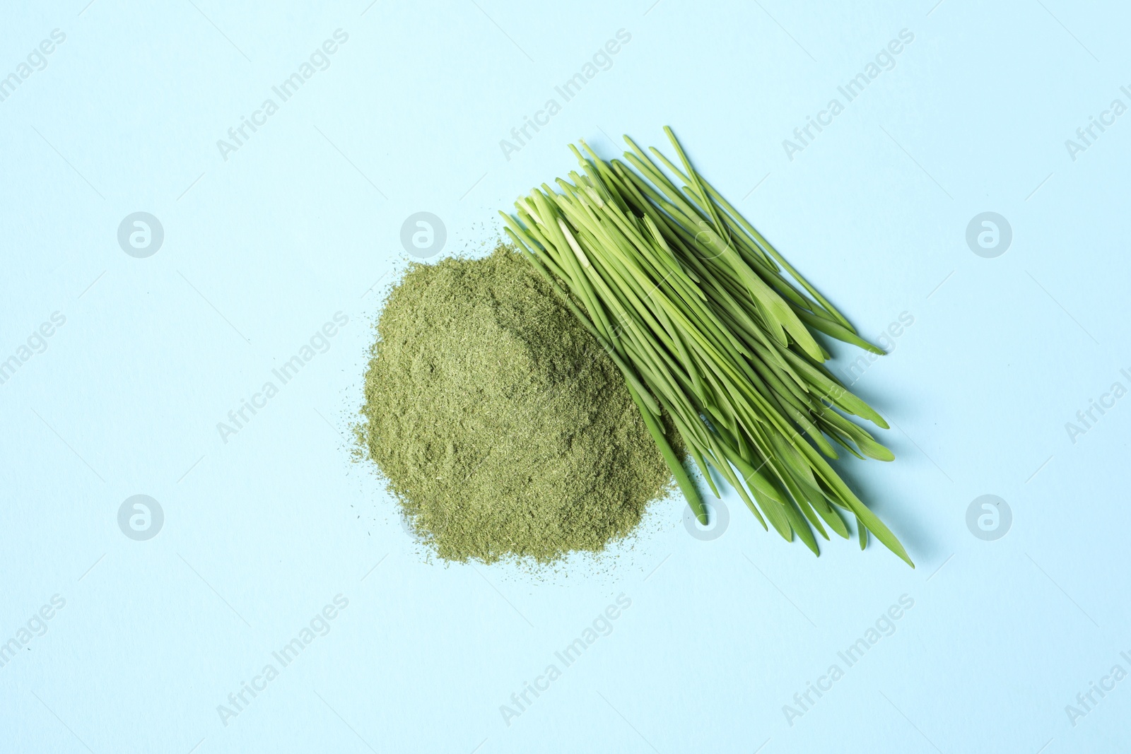 Photo of Pile of wheat grass powder and fresh sprouts on light blue table, flat lay