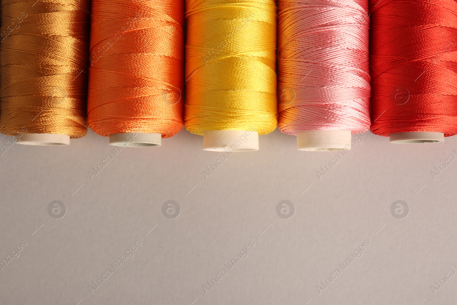 Photo of Different colorful sewing threads on light grey background, flat lay. Space for text