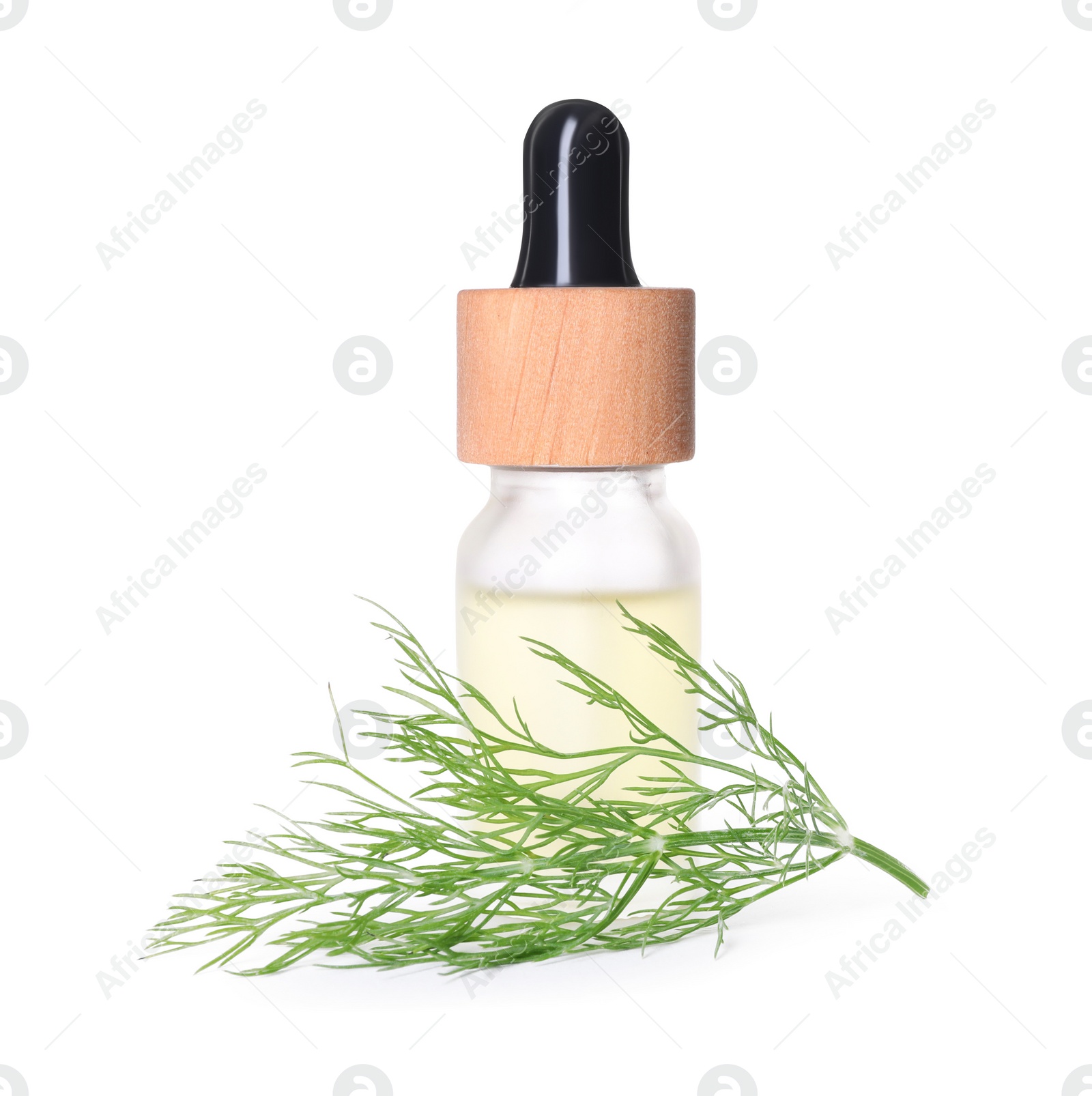 Photo of Bottle of essential oil and fresh dill isolated on white